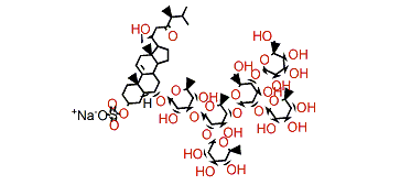 Antarcticoside B